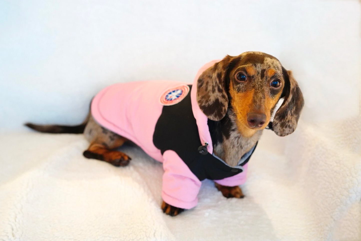 Chic Arctic Explorer Dog Parka – Blush Pink