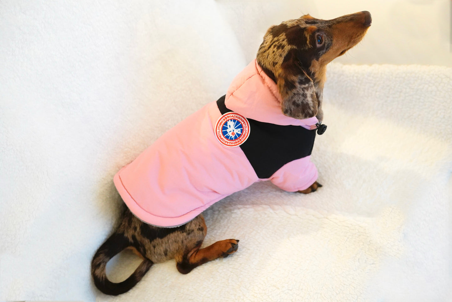 Chic Arctic Explorer Dog Parka – Blush Pink