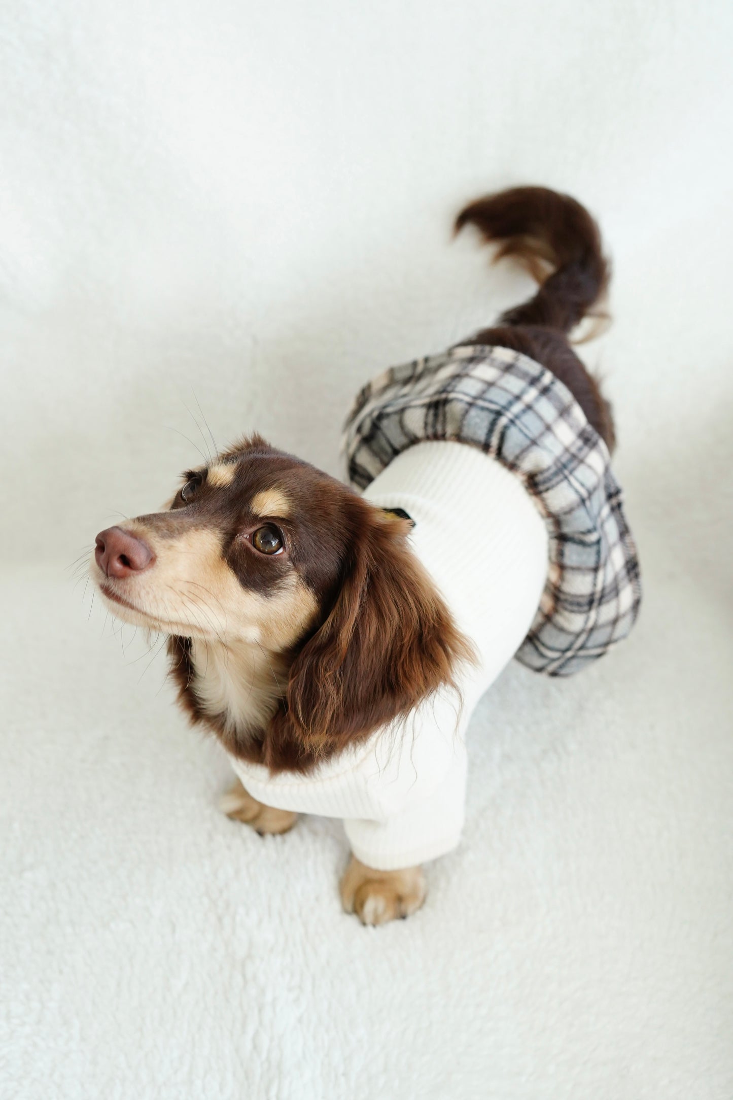 Chic Plaid Skirt & Sweater Set