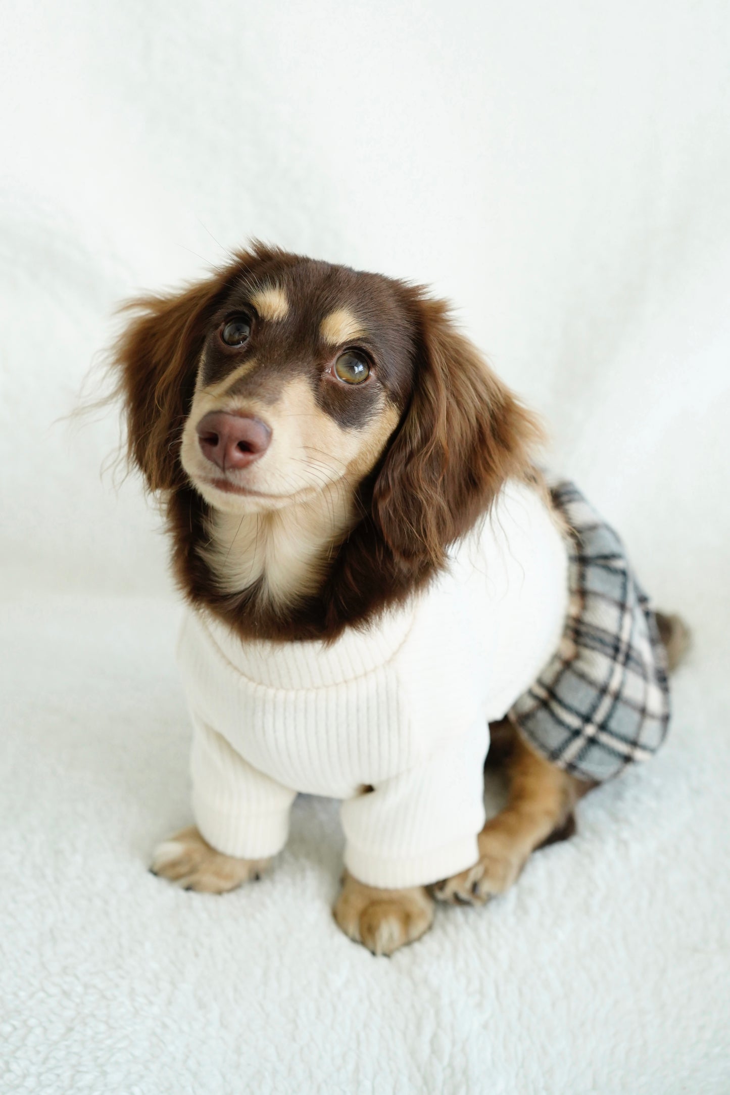 Chic Plaid Skirt & Sweater Set