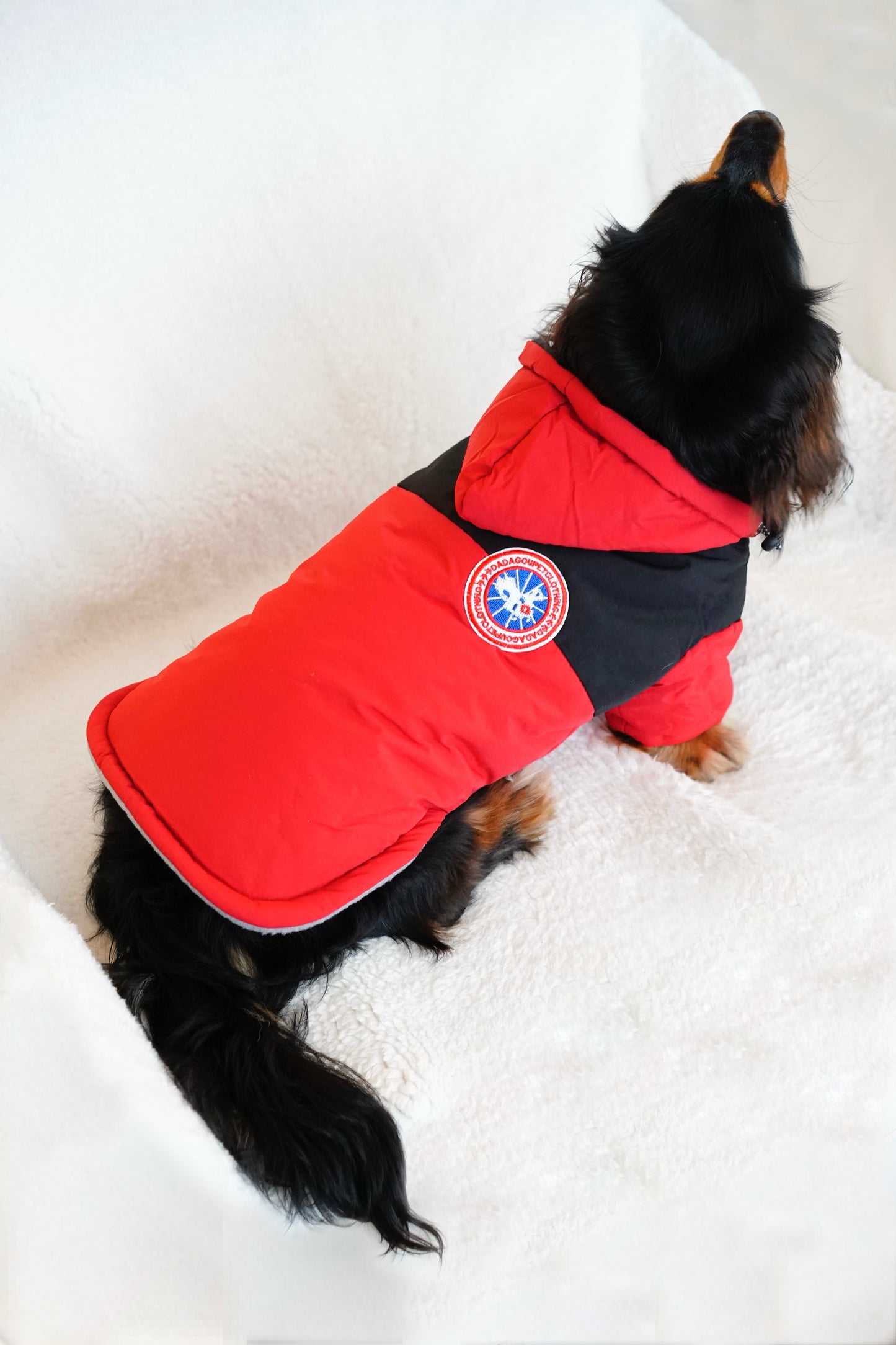 Chic Arctic Explorer Dog Parka – Fiery Red