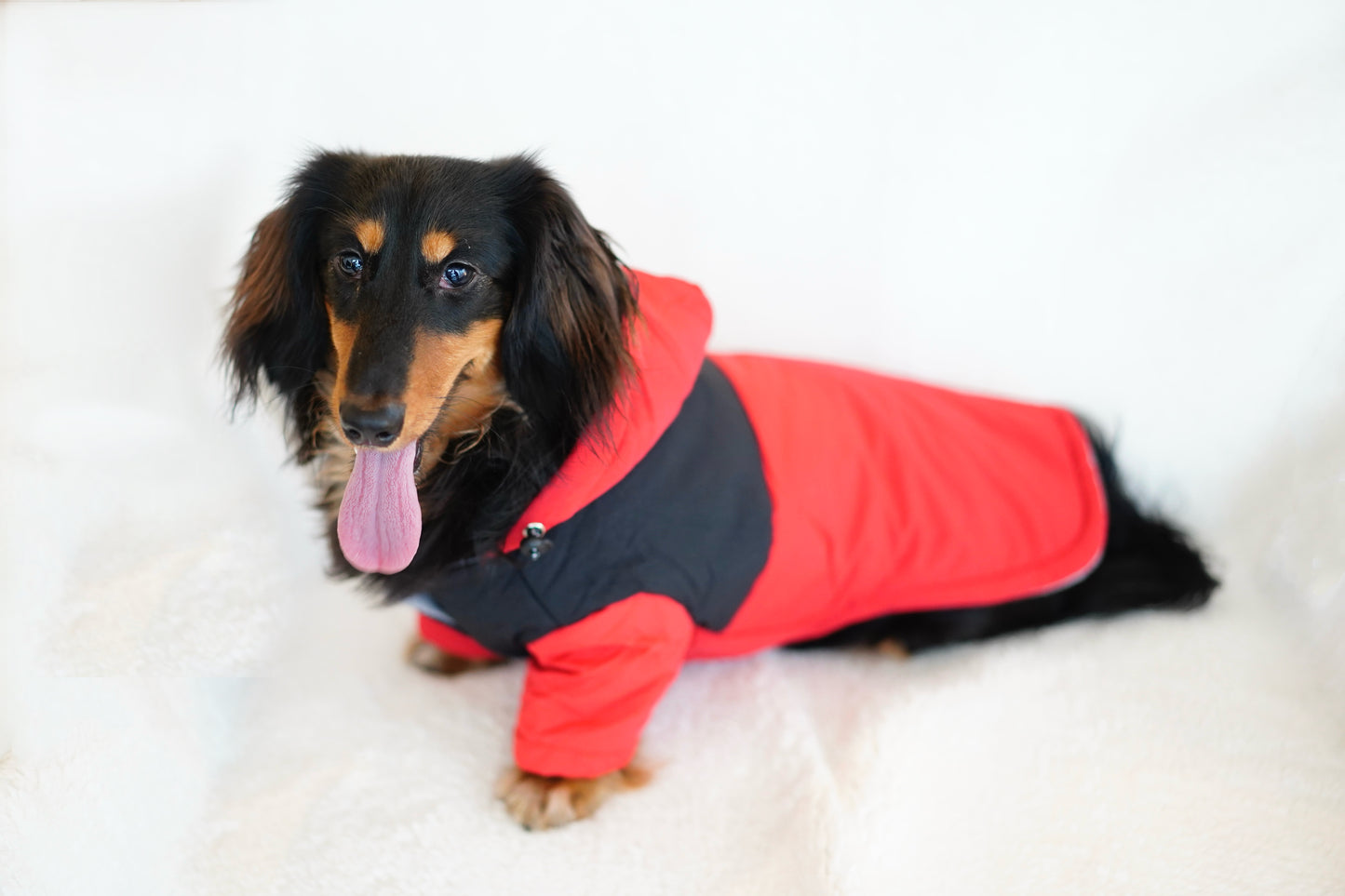 Chic Arctic Explorer Dog Parka – Fiery Red