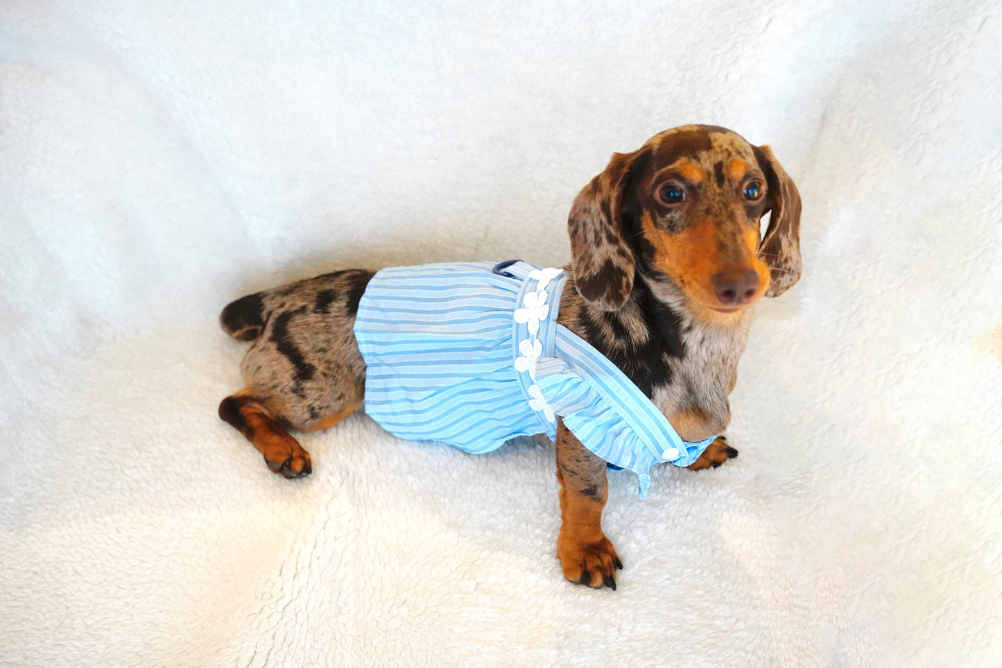 Sweet Summer Breeze Dog Dress – Blue Striped Floral Edition